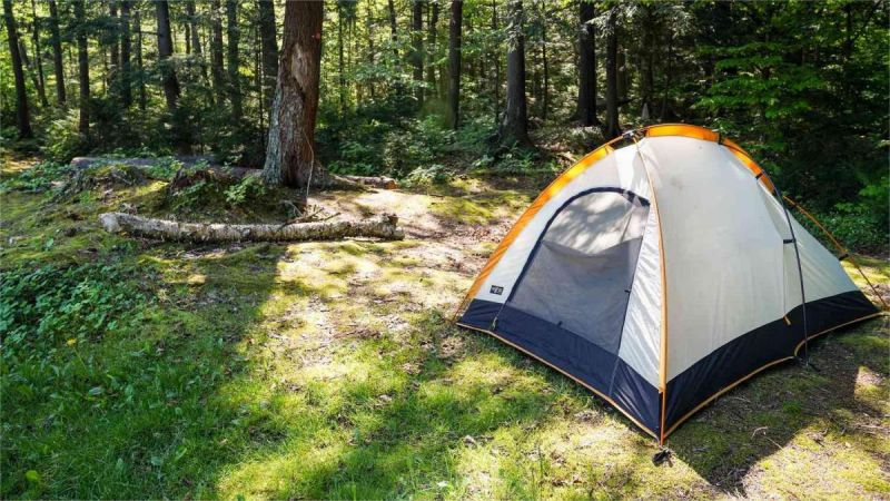 Top Picks for Beginner Campers Across the US: