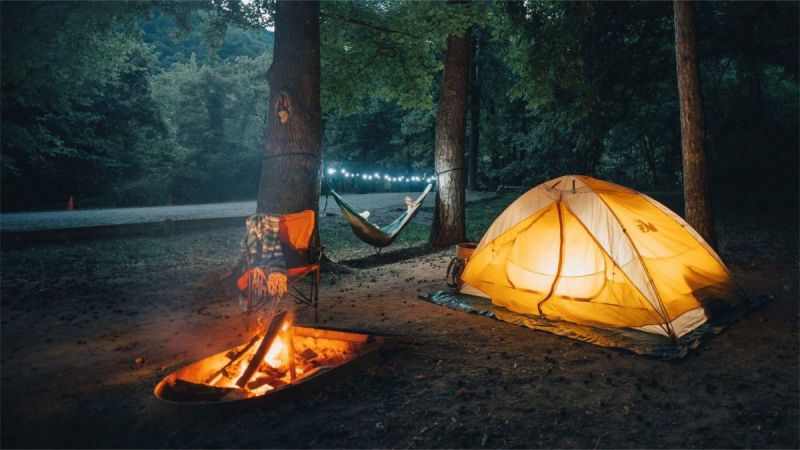National Park Prestige or Hidden Local Gems?