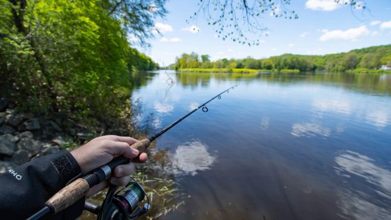 Go fishing